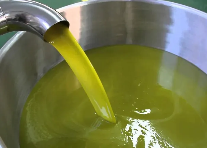 Frühstückspension I Coppi