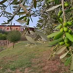 I Coppi Bed & Breakfast 3*