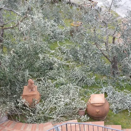Alojamento de Acomodação e Pequeno-almoço I Coppi San Gimignano