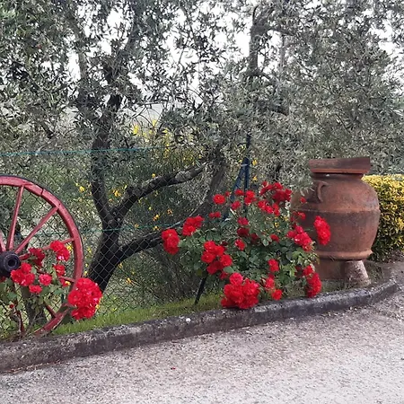 I Coppi 2*