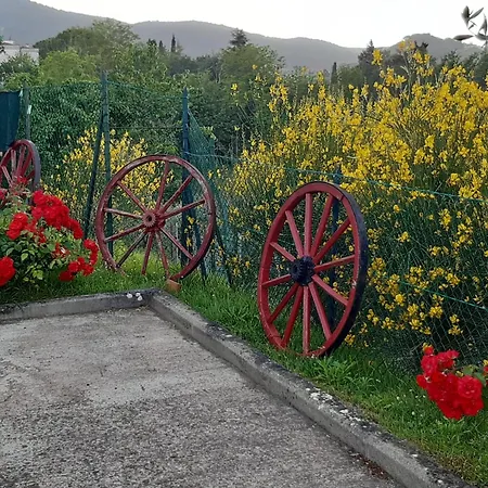 I Coppi Bed & Breakfast San Gimignano