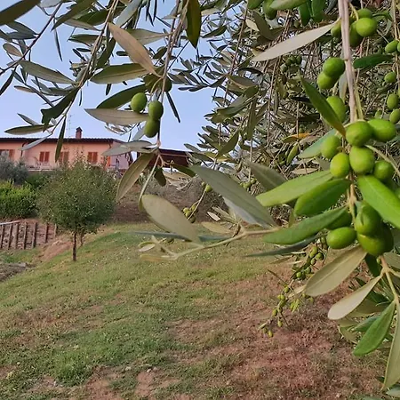 I Coppi Bed & Breakfast 2*