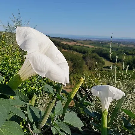 I Coppi Alojamento de Acomodação e Pequeno-almoço San Gimignano