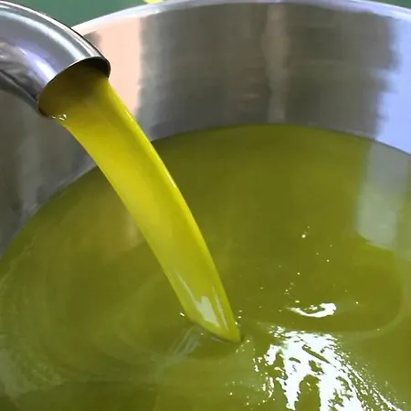 Alojamento de Acomodação e Pequeno-almoço I Coppi